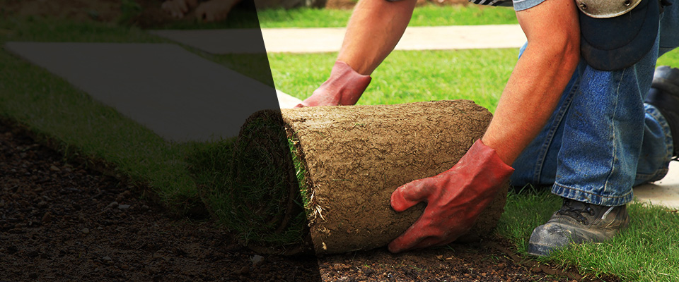 Truckee Landscapers